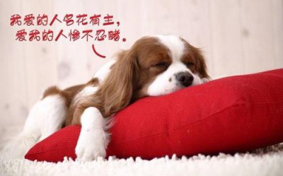 ​适合喝酒发的朋友圈短句 喝酒发朋友圈文案(66句)