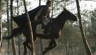 ​谈谈《琅琊榜》剧本存在的问题_天涯剧社_论坛