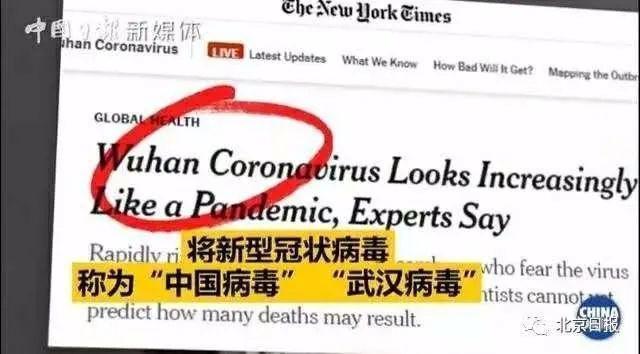 曾和央视主播约辩的翠西下岗了！就因为维护了特朗普？