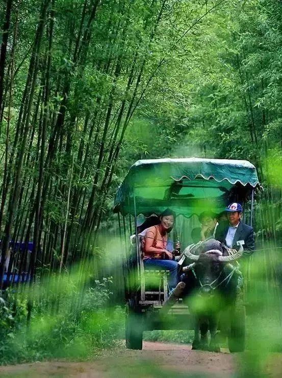 6个江浙漂流好去处，湿个身爽一下