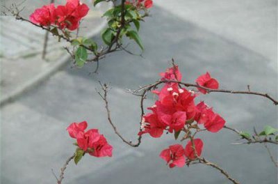 ​秋风微凉的朋友圈句子 关于秋天的朋友圈文案(精选62句)