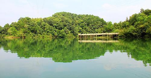 广西这几个县正在冲刺“撤县设市”