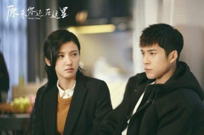 ​有多少人是因为喜欢剧中的插曲才追的《原来你还在这里》？