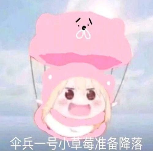 宠物表情包你老婆生了！真的啥色的像极了爱情