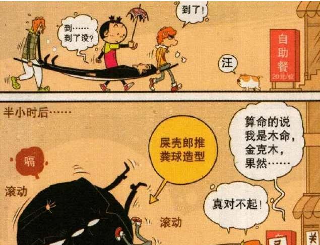 猫小乐金乘五饿到极致“怒啃古树”成“圆球”吃垮自助餐厅！