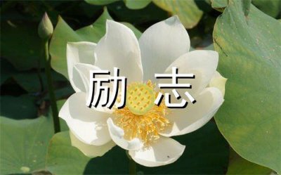 ​向退役军人致敬的句子