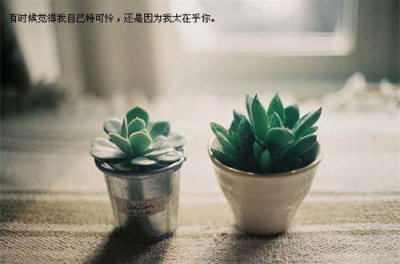 ​激励自己奋斗的句子