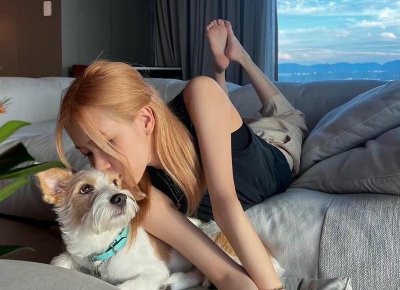 ​美文好句摘抄短句(摘抄优美句子)