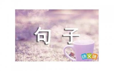 ​土味情话大赏完整（表白不会被拒绝的句子）