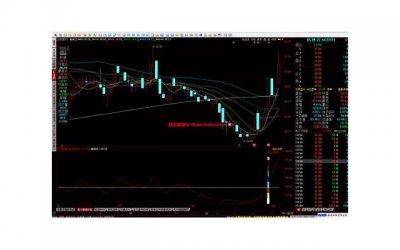 ​不同句式特点的句子(实用80句)