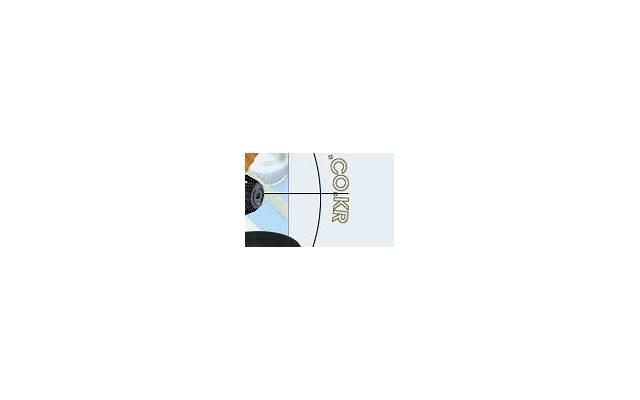  爬树的文案短句干净治愈收集86条