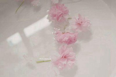 ​虎年母亲节给嫂子的祝福语(精选73条)