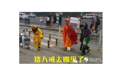​说说-最新搞笑说说大全 很有吸引力的搞笑说说收录24句