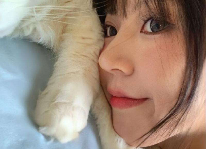 土味情话高级撩人套路最新(对女朋友说的土味情话套路)