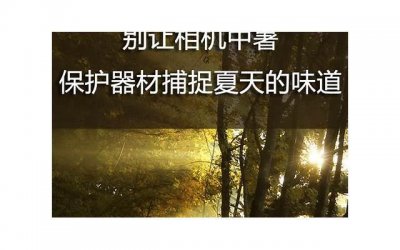 ​土味情话你是我的意中人(我想见你的土味情话怎么说)