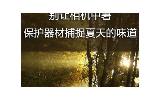 土味情话你是我的意中人(我想见你的土味情话怎么说)