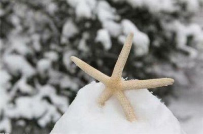 ​大学毕业送别祝福语简短文艺(精选64条)