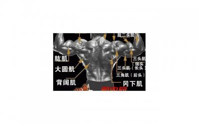 ​人十有九不如意的短句合集90句