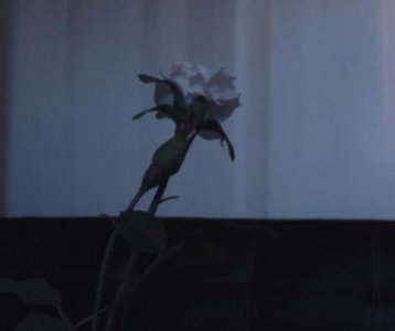 ​浪漫英文表白句子
