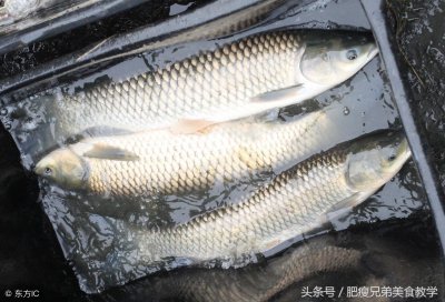 ​皖鱼跟草鱼有区别吗？十年大厨的蒸鱼秘方，这样做让鱼更加鲜嫩