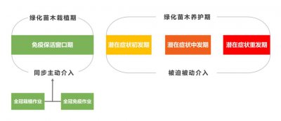 ​如何理解林木全冠移植技术？搞懂这几点就对了