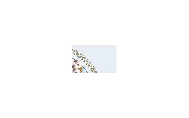  我在故宫修文物短句收集60条