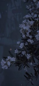 ​每日一更之蓝色系壁纸背景图小清新丧系日系孤独的颜色