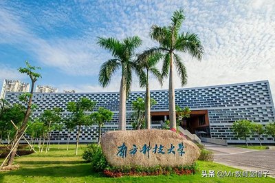 ​南科大：不好意思，发展很快！就业数据分析，这类学生去向好