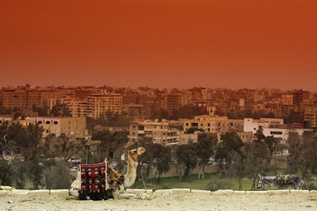 开罗（Cairo‎）（埃及）