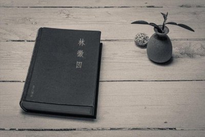​林徽因和徐志摩：爱情故事中的才华横溢和传奇浪漫
