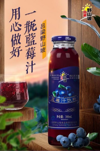 金钻蓝莓果汁价格