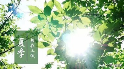 ​入伏这一天吃什么对身体比较好