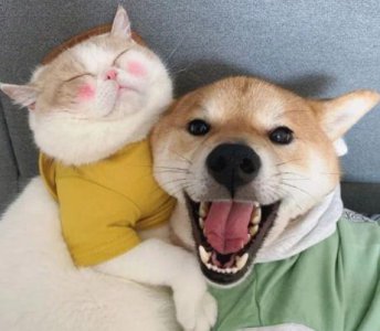 ​父亲节的贺卡祝福语大全