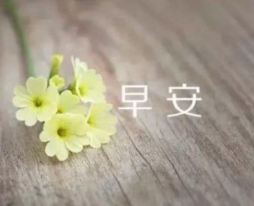​给好朋友的拜年祝福语