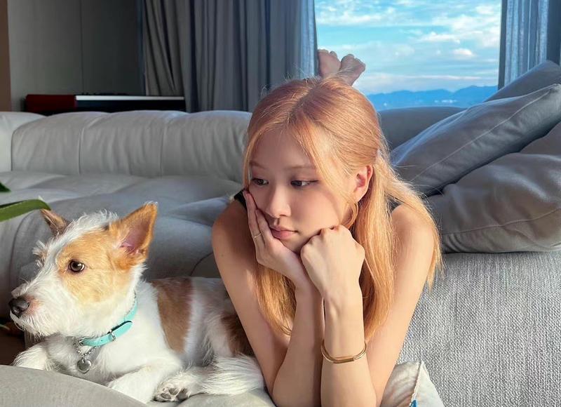  优美的情话句子短句新闻总汇76条