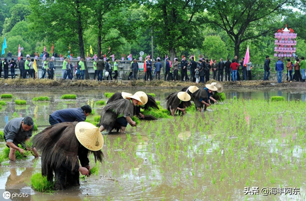 蓑衣——古老的雨衣，各地蓑衣欣赏