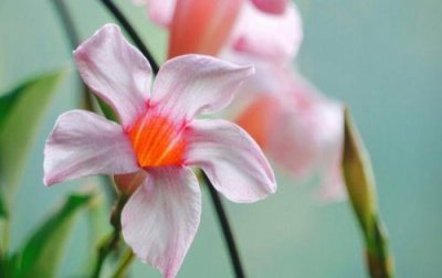​国庆节祖国祝福语大全(精选80条)
