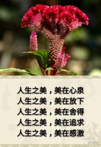 ​人生一世，草木一秋是什么意思呢？