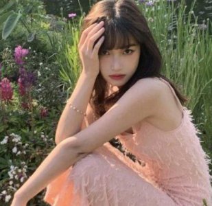 ​给婆婆的问候短信