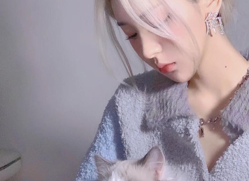 抖音独白语句案牍（抖音女生独白）
