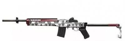 ​出身名门的轻型步枪-mini14