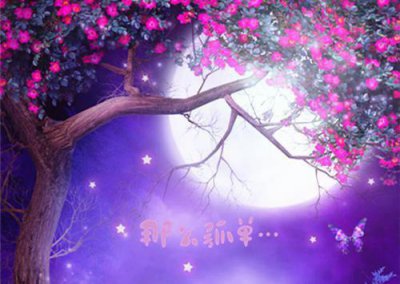 ​干净治愈的句子 文案短句干净治愈温柔