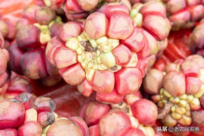 ​俗称“黑老虎”，酷似地雷，以前低价难销，现在一斤80却无人种