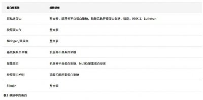 ​默克生命科学实验分享 - 什么是细胞外基质？