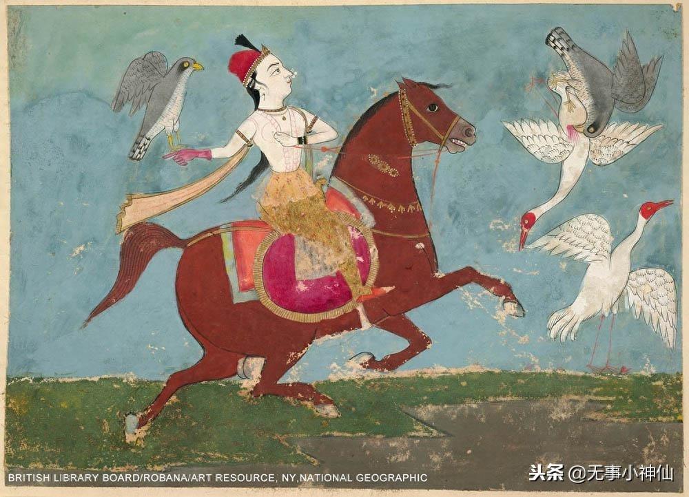 解读天空霸主——“猎隼”的前世今生
