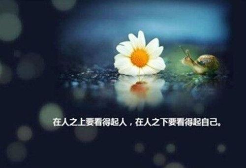 最简短的一句话早安心语