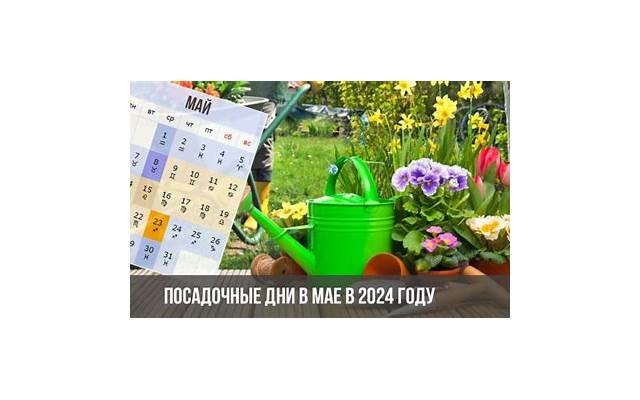朋友圈搞笑配图2024