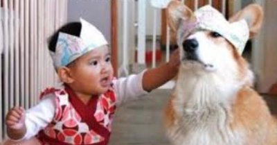 ​家里有小孩子的最好不要养狗，到时候你就知道有多后悔