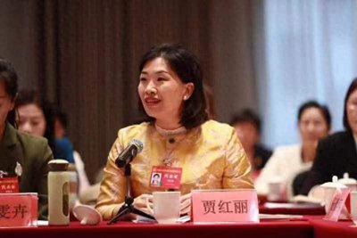 ​中国妇女第十三次全国代表大会代表贾红丽 帮助上万名毕业生找到工作
