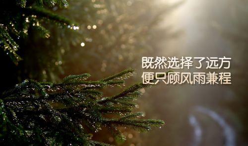不取悦不讨好任何人的句子